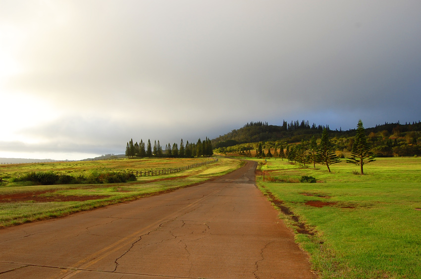 Paved Road Near the Lodge