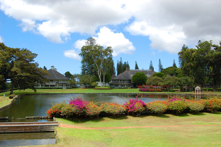 The Pond