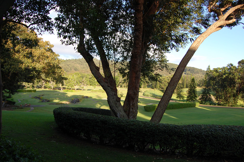 View from a Guestroom at the Koele Lodge