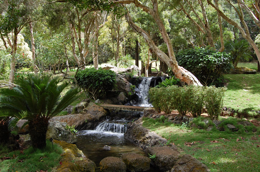 Waterfall Garden