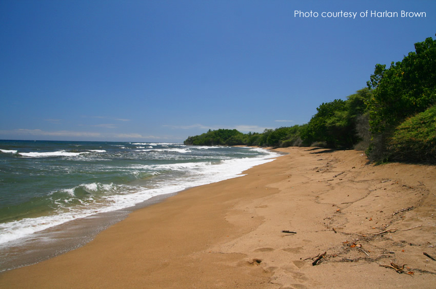 Lopa Beach