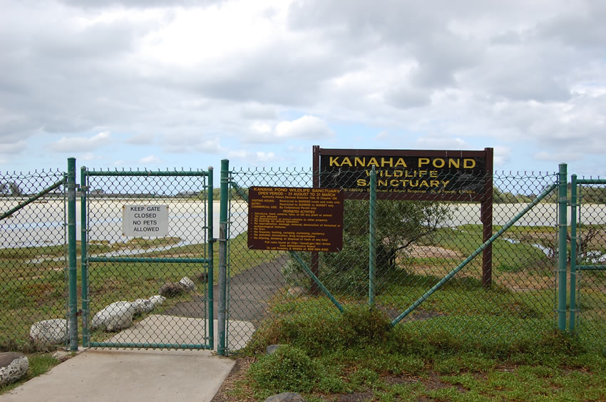 Entrance Gate
