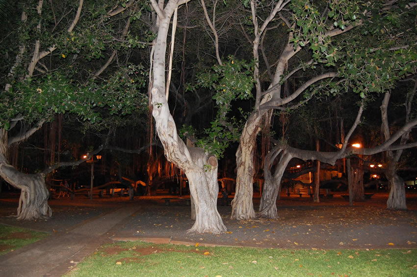 At Night
