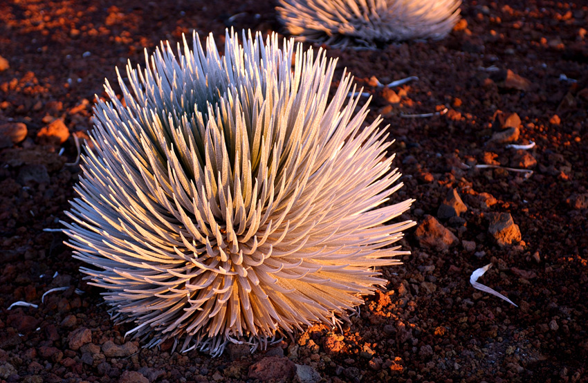 Haleakala 2