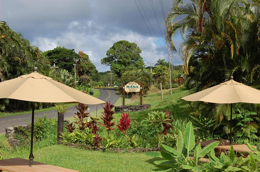 Hana Farms