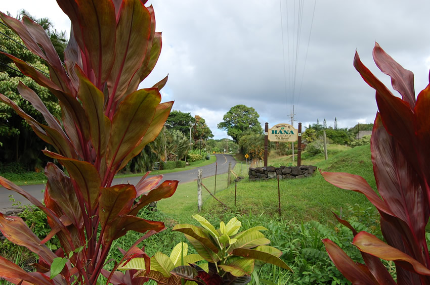 On the Road to Hana