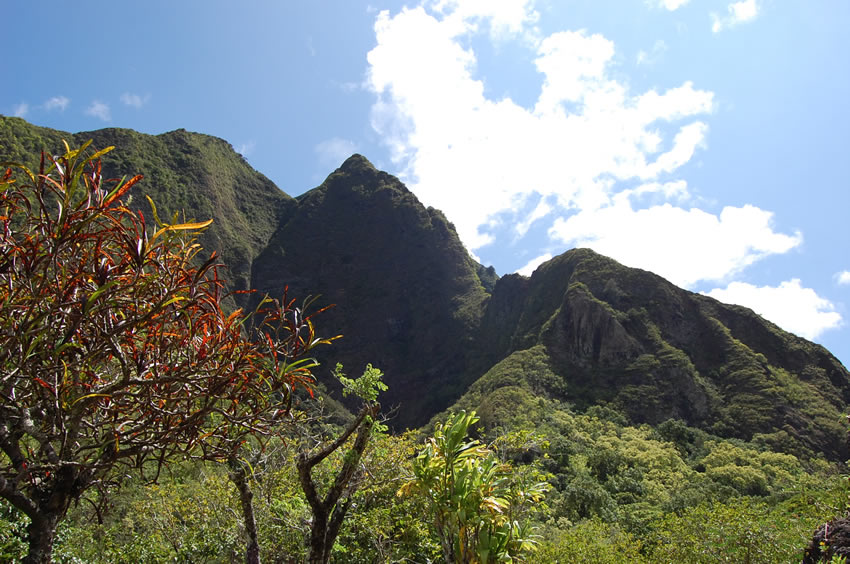 Historic Location