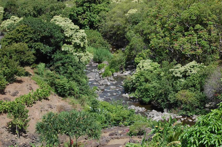 Lush Green Surroundings