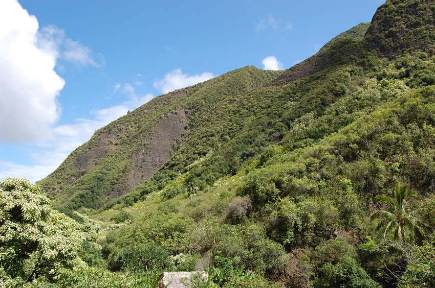 State Park in Wailuku