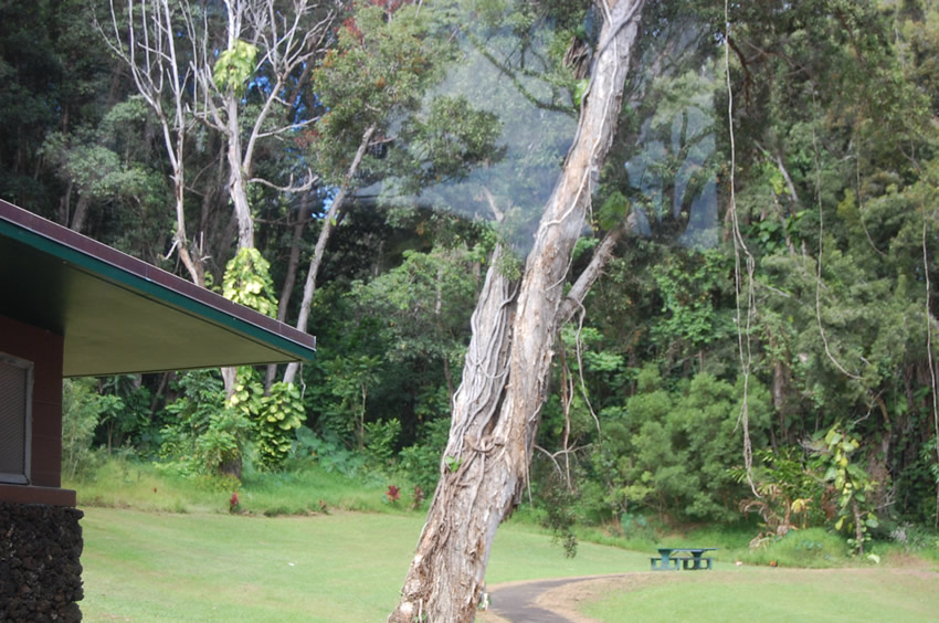 Picnic Area