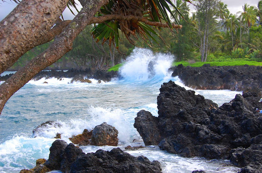 High Surf