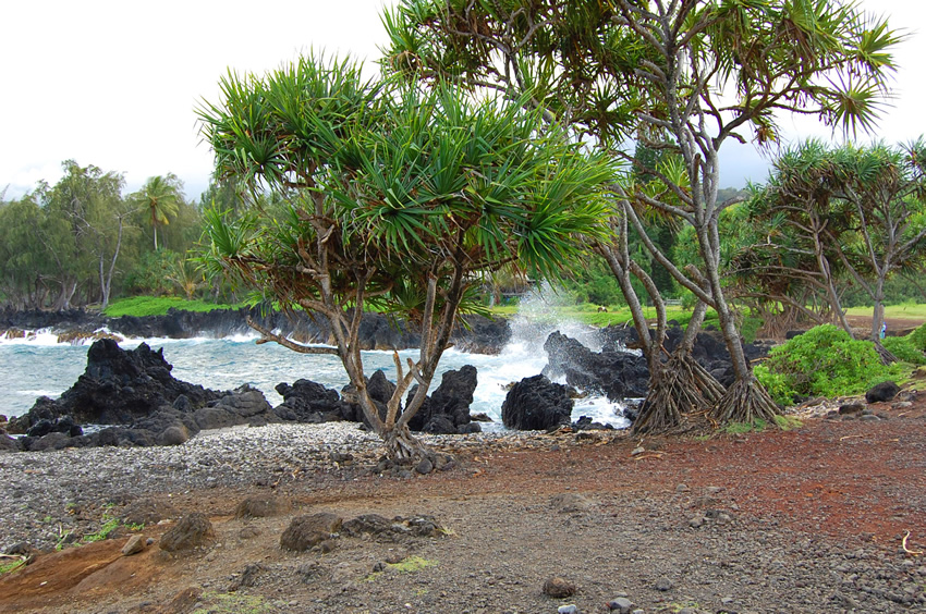 The Crashing Waves Are the Main Attraction
