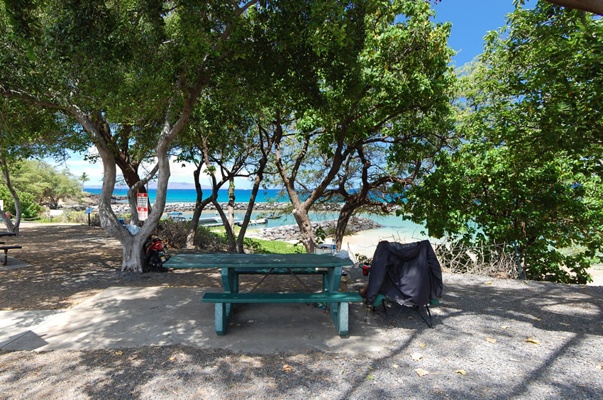 Picnic Area