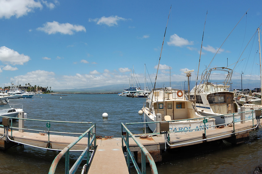 Harbor Boats
