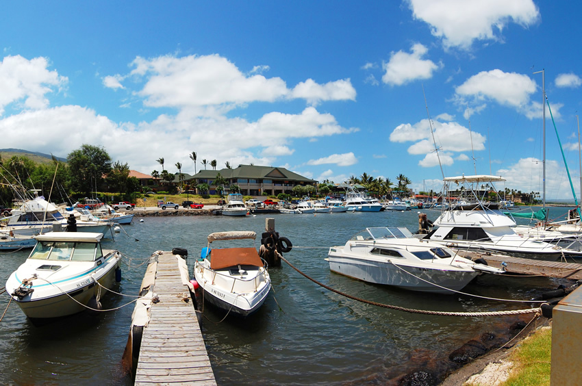 Popular Maui Harbor