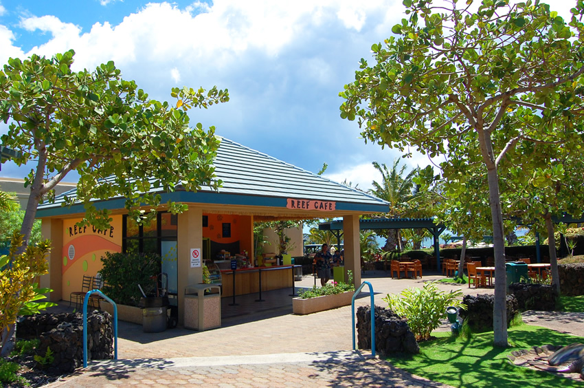 Reef Cafe