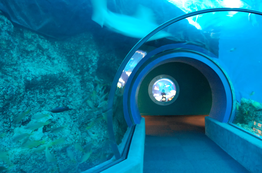 Underwater World