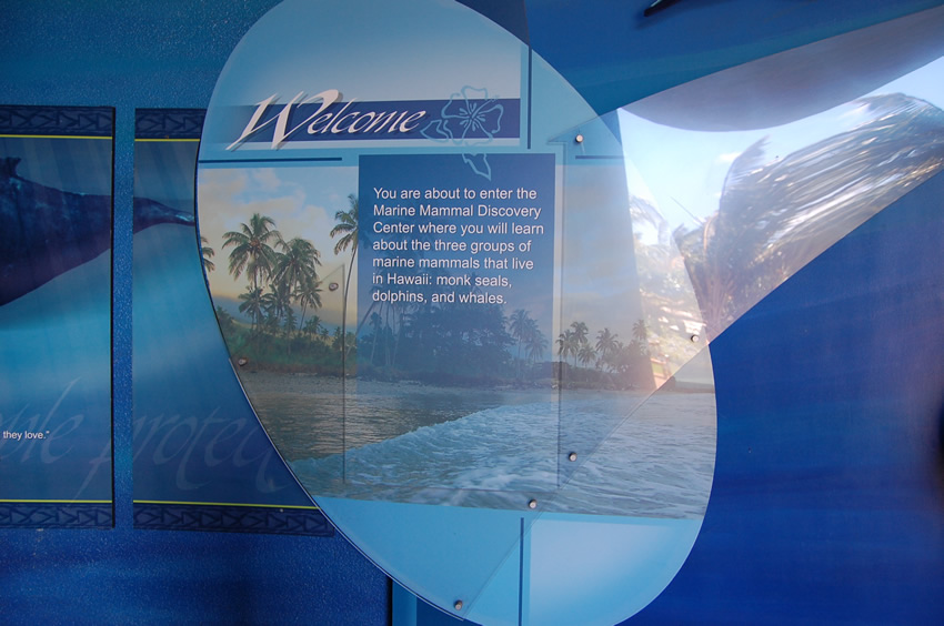 Welcome Message