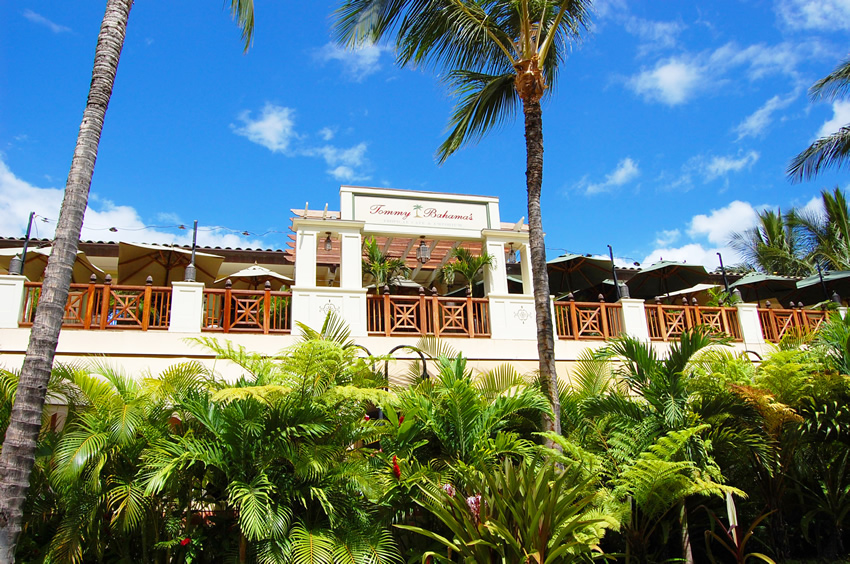 Tommy Bahama