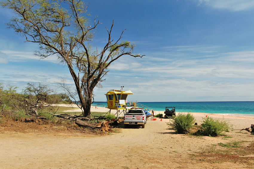 Lifeguard Tower