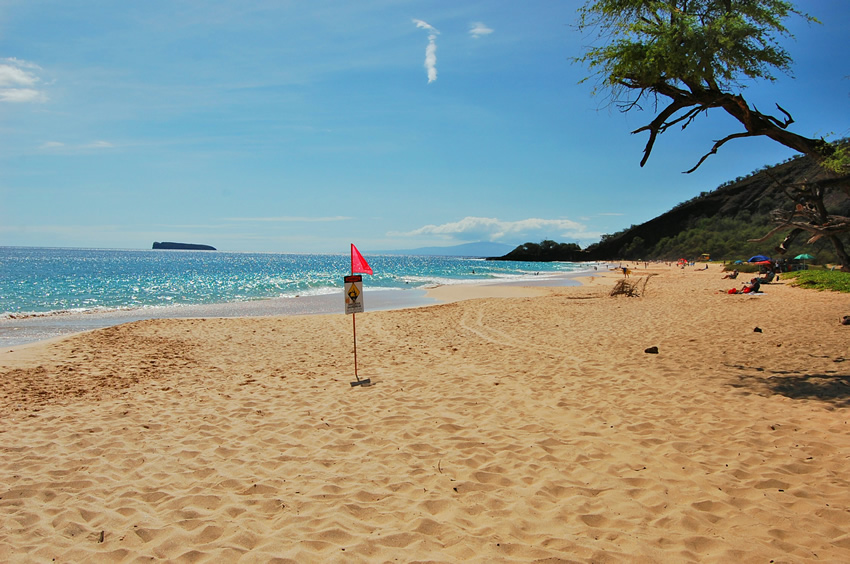 Long White Sand Beach