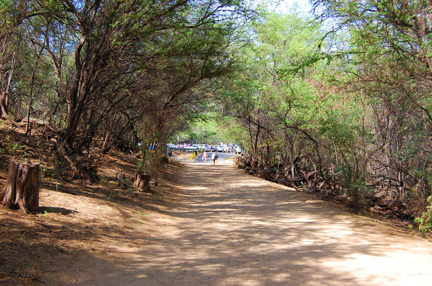 Short Hike to the Parking Lot