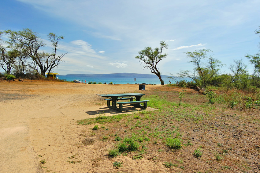 Sunny Picnic Area