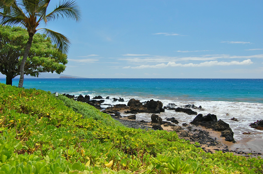 Scenic View