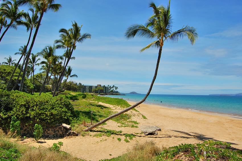 Beach Scenery