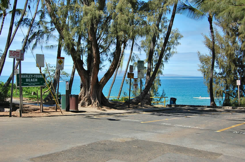 Park Area