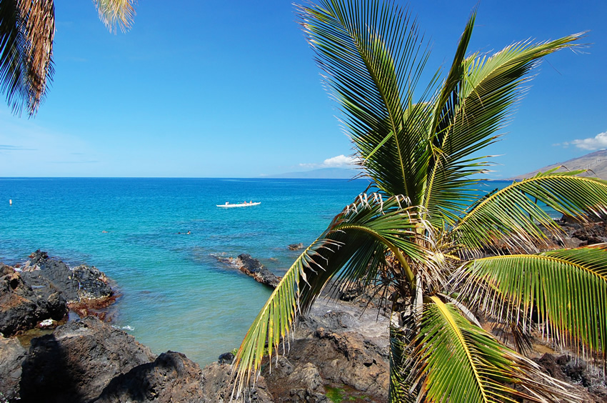 Scenic Area North of Charley Young Beach 3