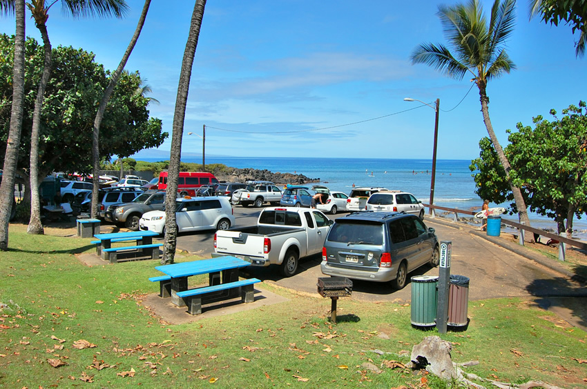 Cove Park
