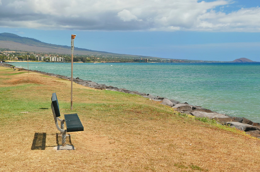 Bench by the Ocean