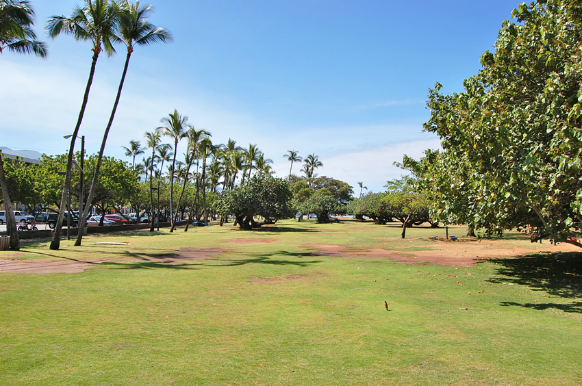 Park Area