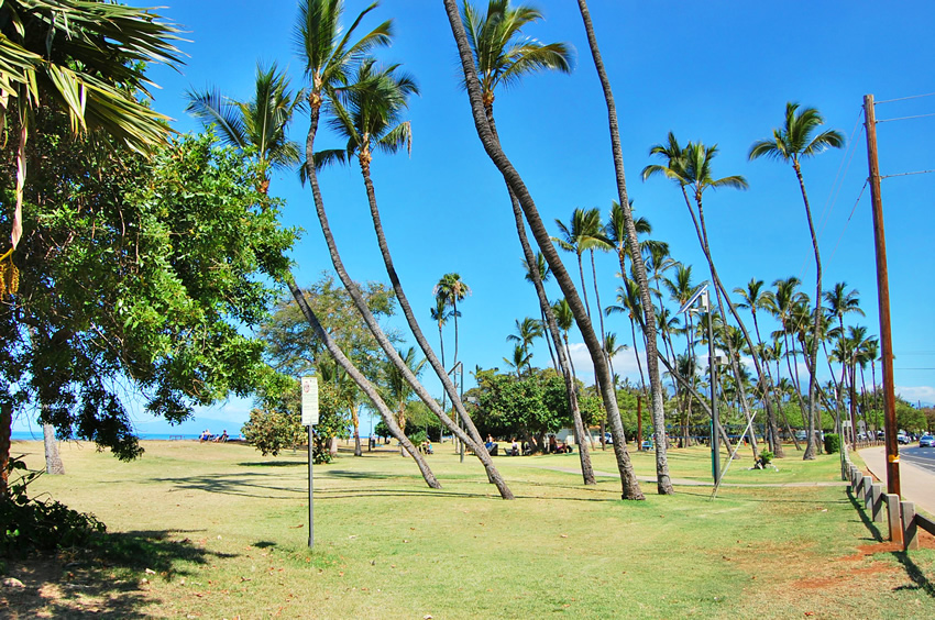 South End of the Park
