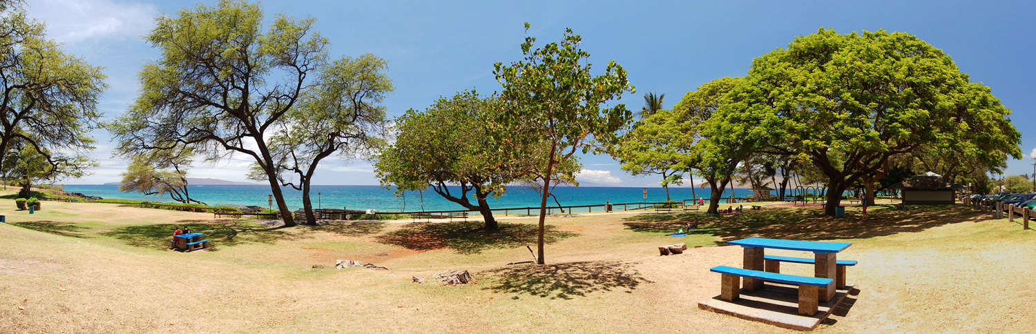 Kamaole Beach Park Iii P1