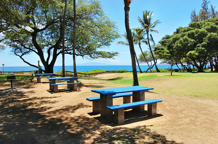 Picnic Area at Kamaole Iii