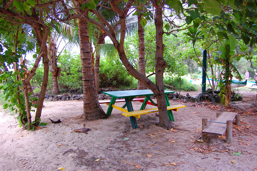 Picnic Table