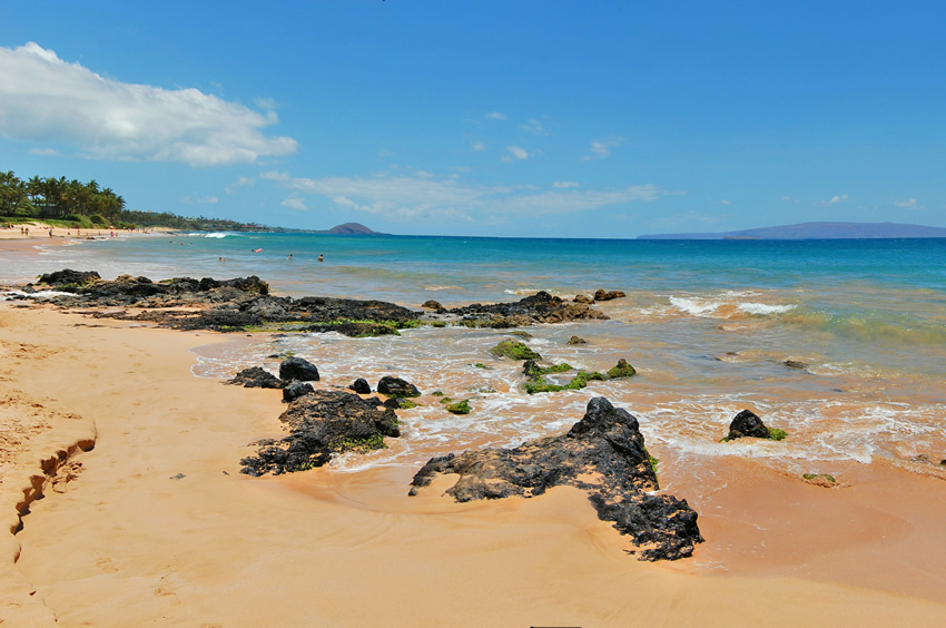 Beach Lava Rocks