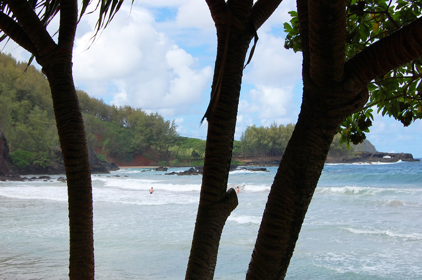 Beach Scenery