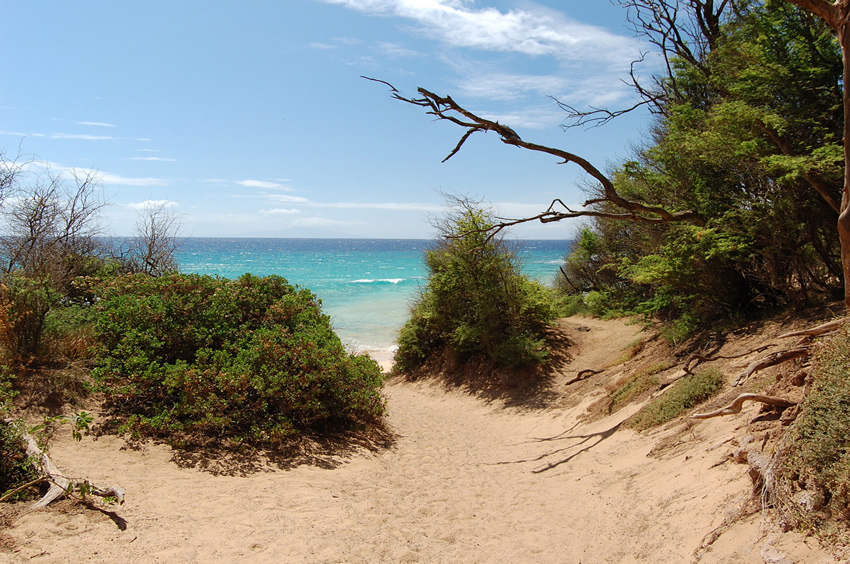Beach Path