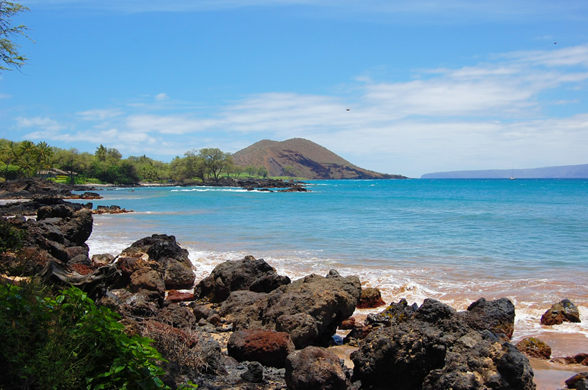Rocky Shoreline