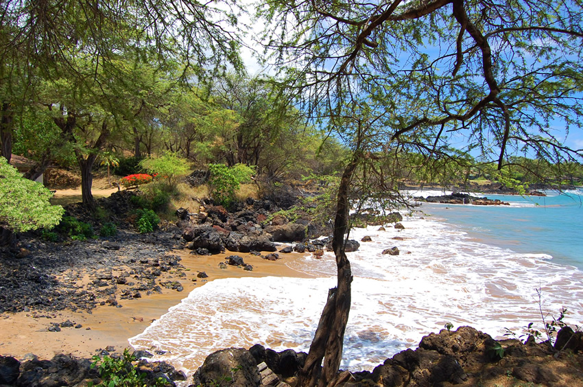 Rocky Shoreline 2