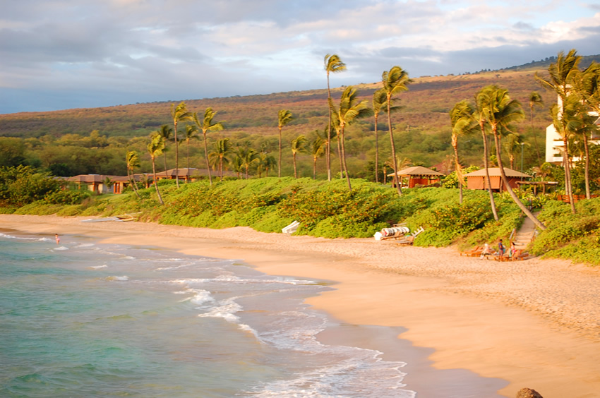 Scenic Shoreline