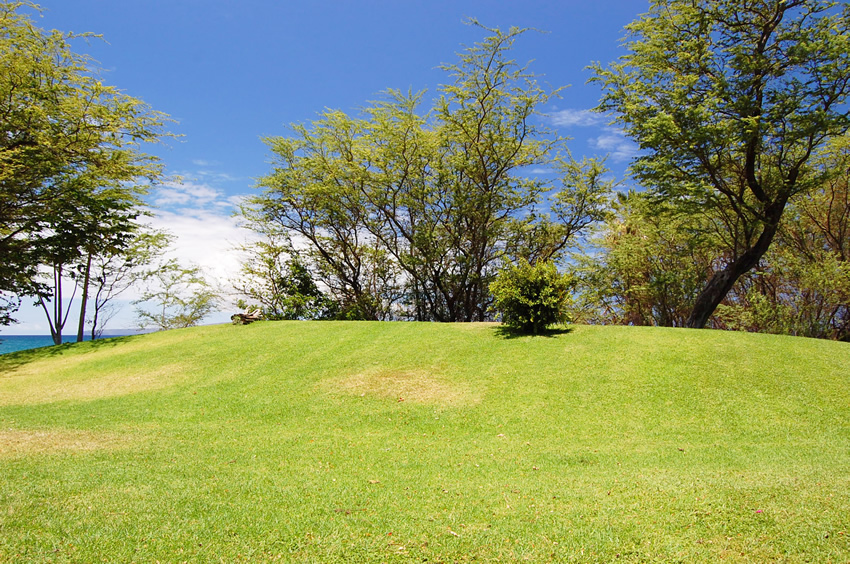 Park Area 3