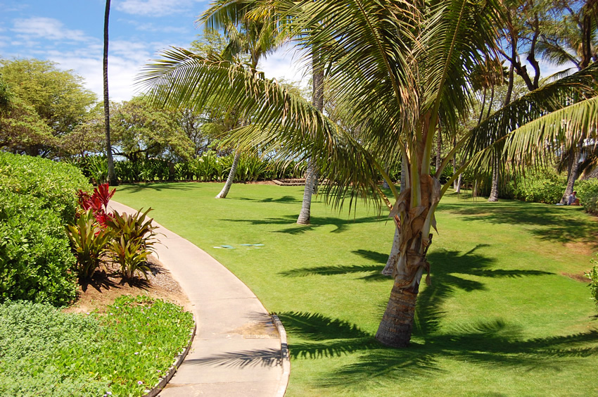 Scenic Park 2