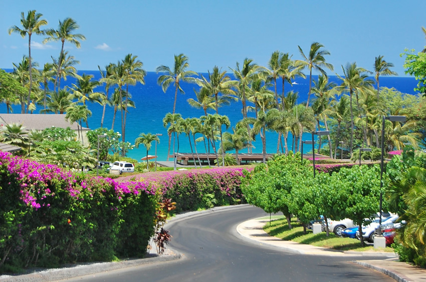 Sunny Wailea