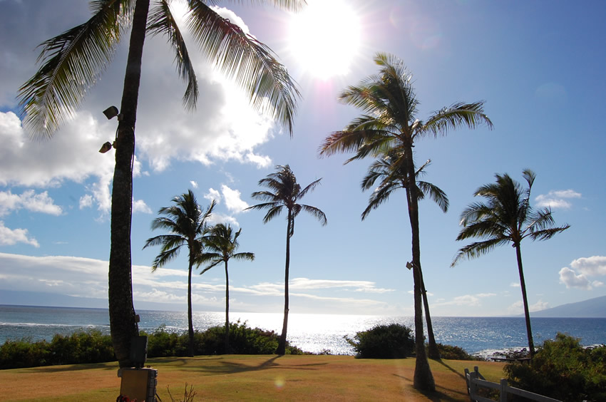 Near Kapalua