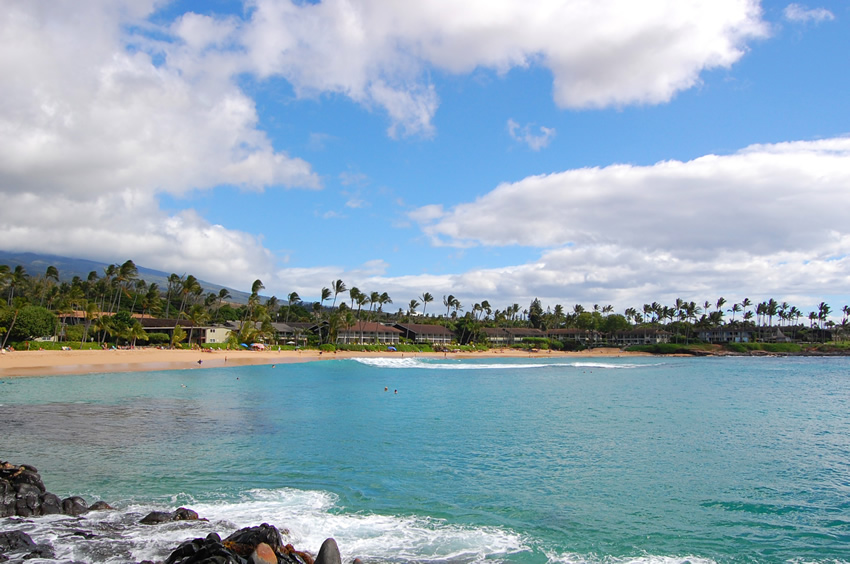 Walk Along the Shoreline