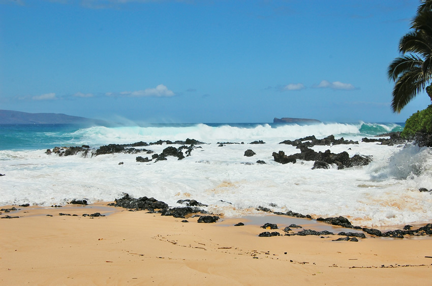 White Sands and Black Rocks